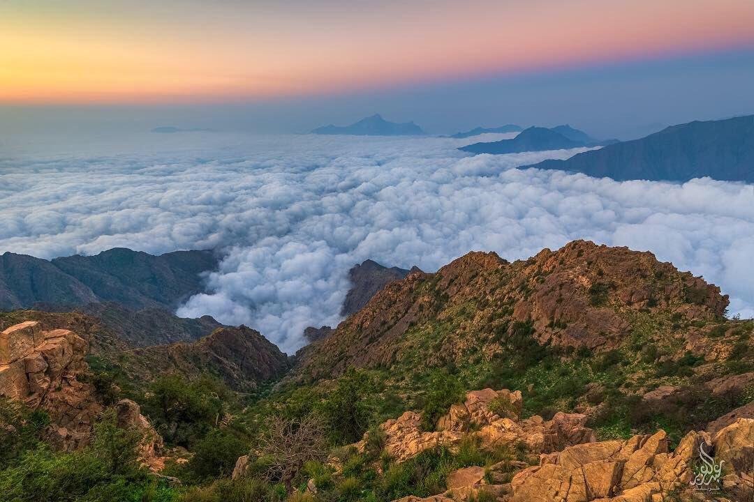 جبال السراة وغابات العرعر في منطقة الباحة